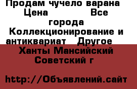 Продам чучело варана › Цена ­ 15 000 - Все города Коллекционирование и антиквариат » Другое   . Ханты-Мансийский,Советский г.